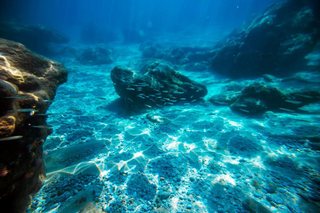 Hotel La Fattoria Sul Mare Capo Vaticano Luaran gambar